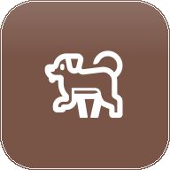 Dog Age Calculator